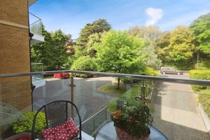 Photo 9- click for photo gallery